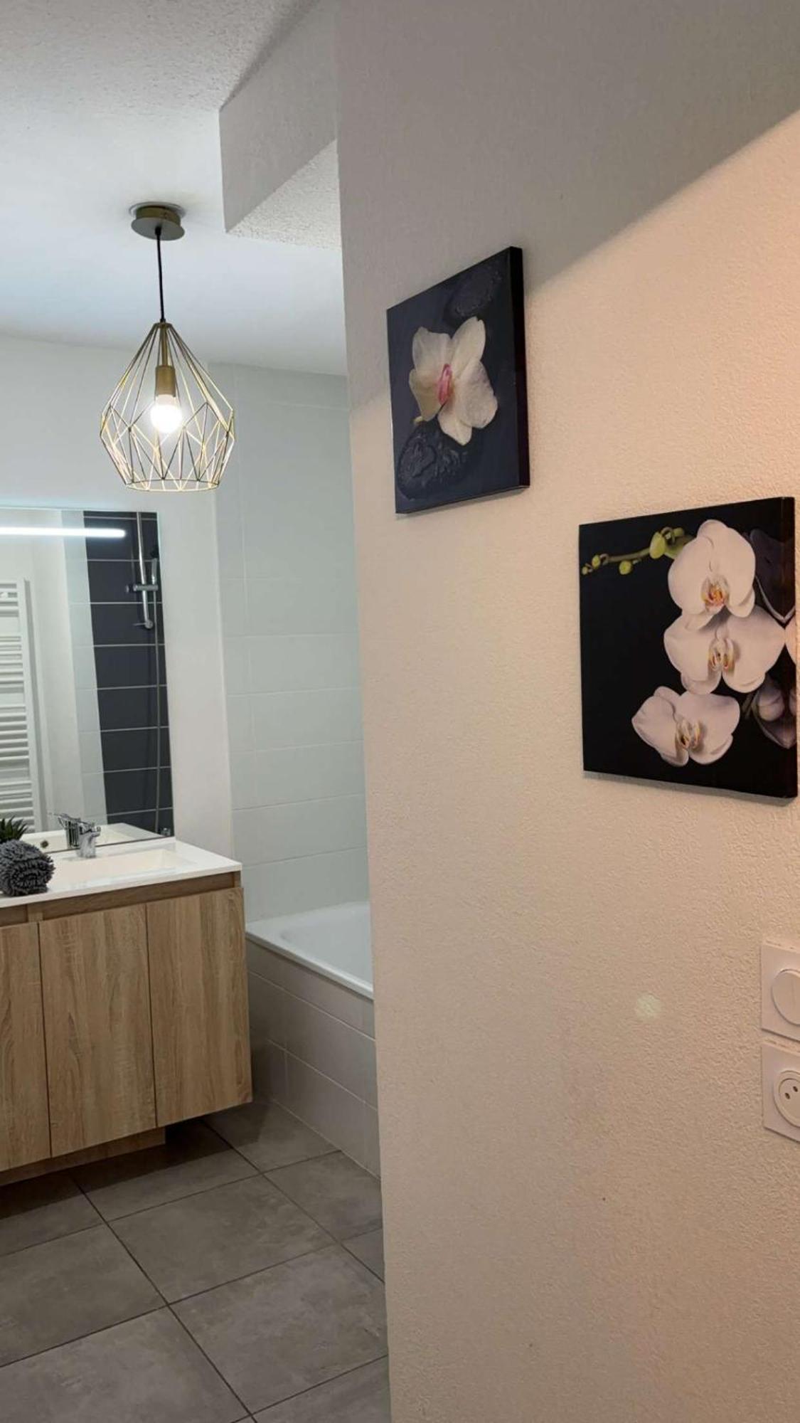 Suite Jacuzzi "Spa Privatif " Appartement Jacuzzi Toulouse Ngoại thất bức ảnh